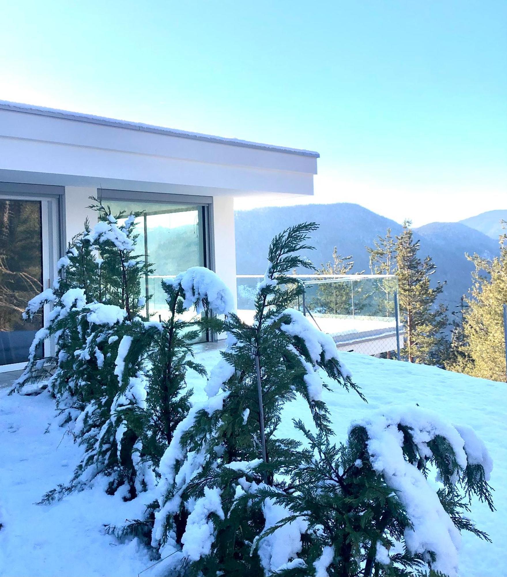 Chalet Tschattlhof Dolomites Cavalese Exteriör bild
