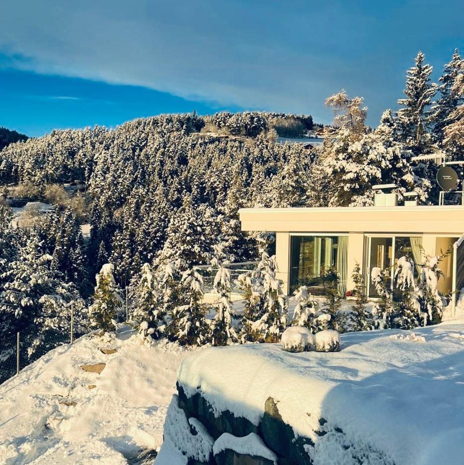 Chalet Tschattlhof Dolomites Cavalese Exteriör bild