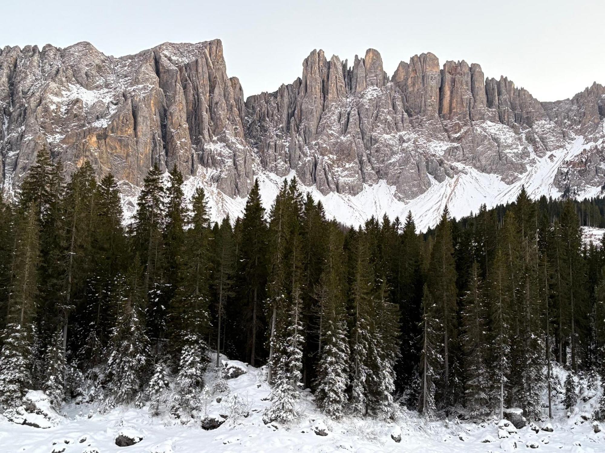 Chalet Tschattlhof Dolomites Cavalese Exteriör bild